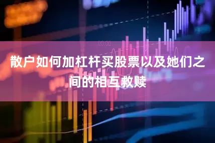 散户如何加杠杆买股票以及她们之间的相互救赎