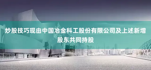 炒股技巧现由中国冶金科工股份有限公司及上述新增股东共同持股