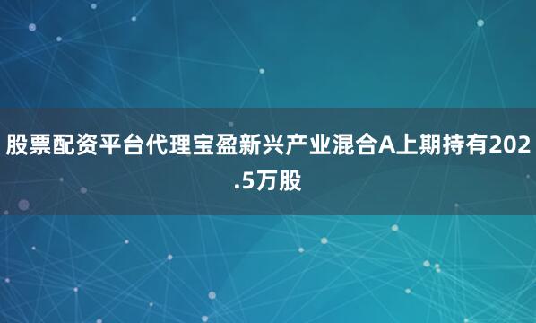 股票配资平台代理宝盈新兴产业混合A上期持有202.5万股