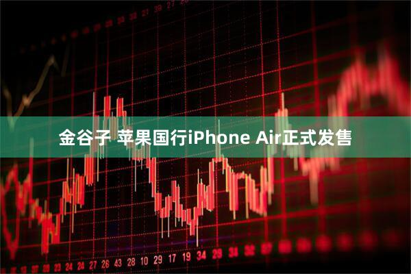金谷子 苹果国行iPhone Air正式发售